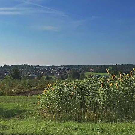 Marianne In Black Forest For 4 Person, Cleaning Included Apartment